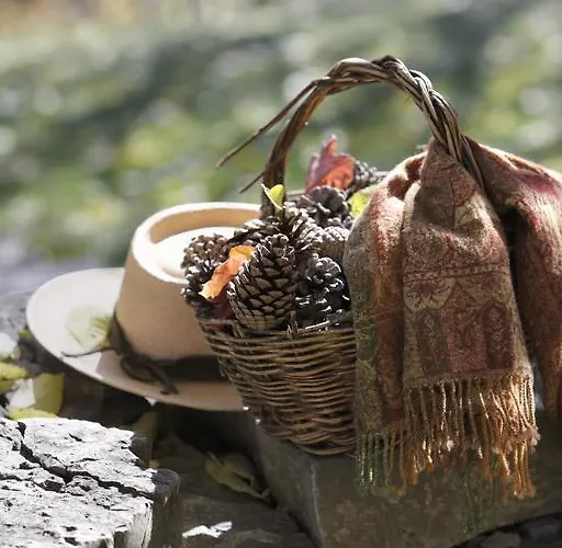 Casa rural Casa De San Martín San Martín De Solana